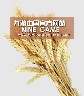 九游中国官方网站 - NINE GAME - 九游游戏中心