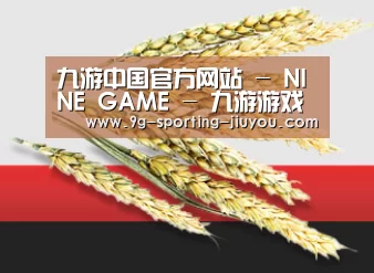九游中国官方网站 - NINE GAME - 九游游戏中心