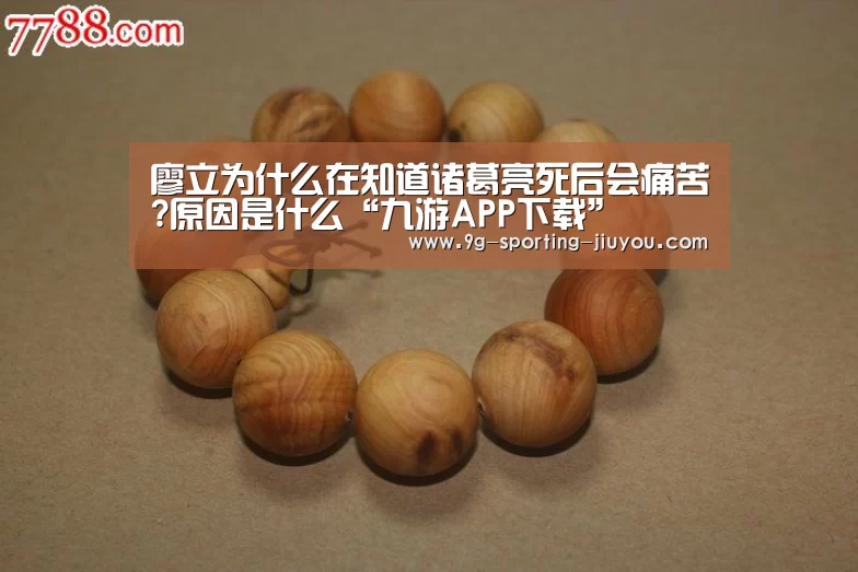 九游游戏中心