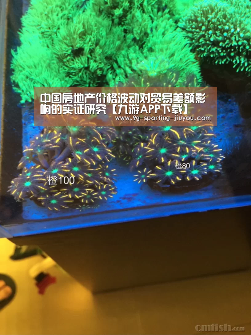 中国房地产价格波动对贸易差额影响的实证研究【九游APP下载】(图1) 九游官网