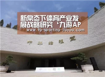新常态下体育产业发展战略研究‘九游APP下载’(图3) 九游游戏