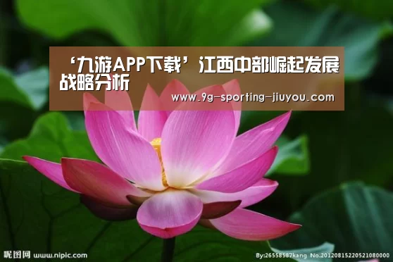 ‘九游APP下载’江西中部崛起发展战略分析(图1) 九游APP下载