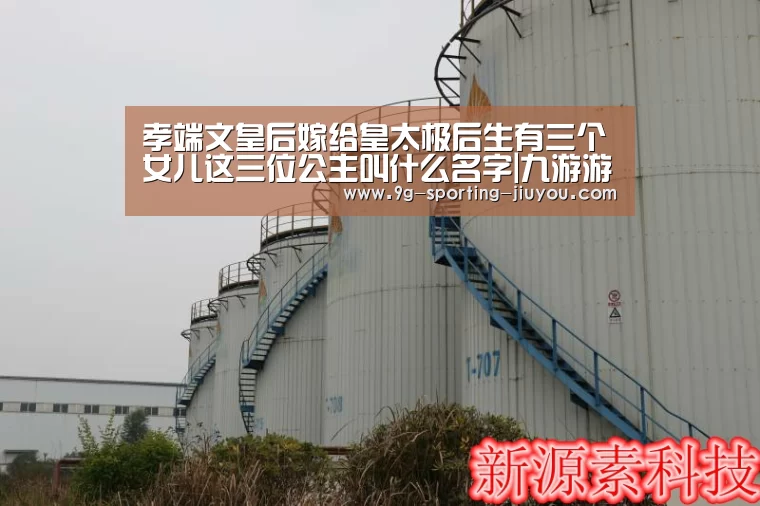 孝端文皇后嫁给皇太极后生有三个女儿这三位公主叫什么名字|九游游戏中心(图1) 九游游戏中心