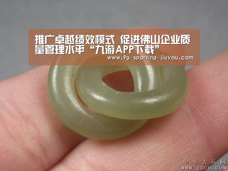 推广卓越绩效模式 促进佛山企业质量管理水平“九游APP下载”(图3) 九游游戏